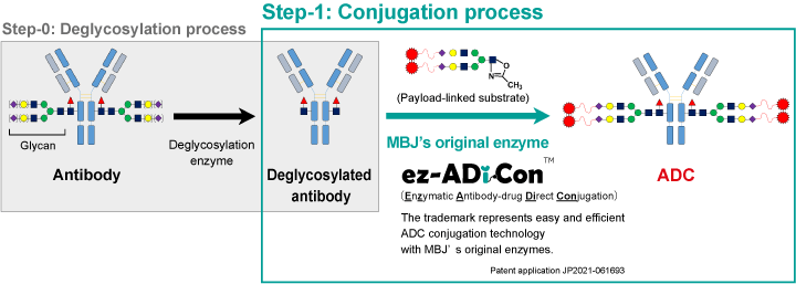 MBJ's ADC Conjugation Technology