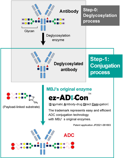 MBJ's ADC Conjugation Technology