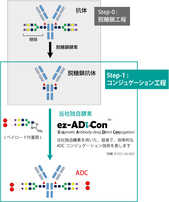 当社ADCコンジュゲーション技術