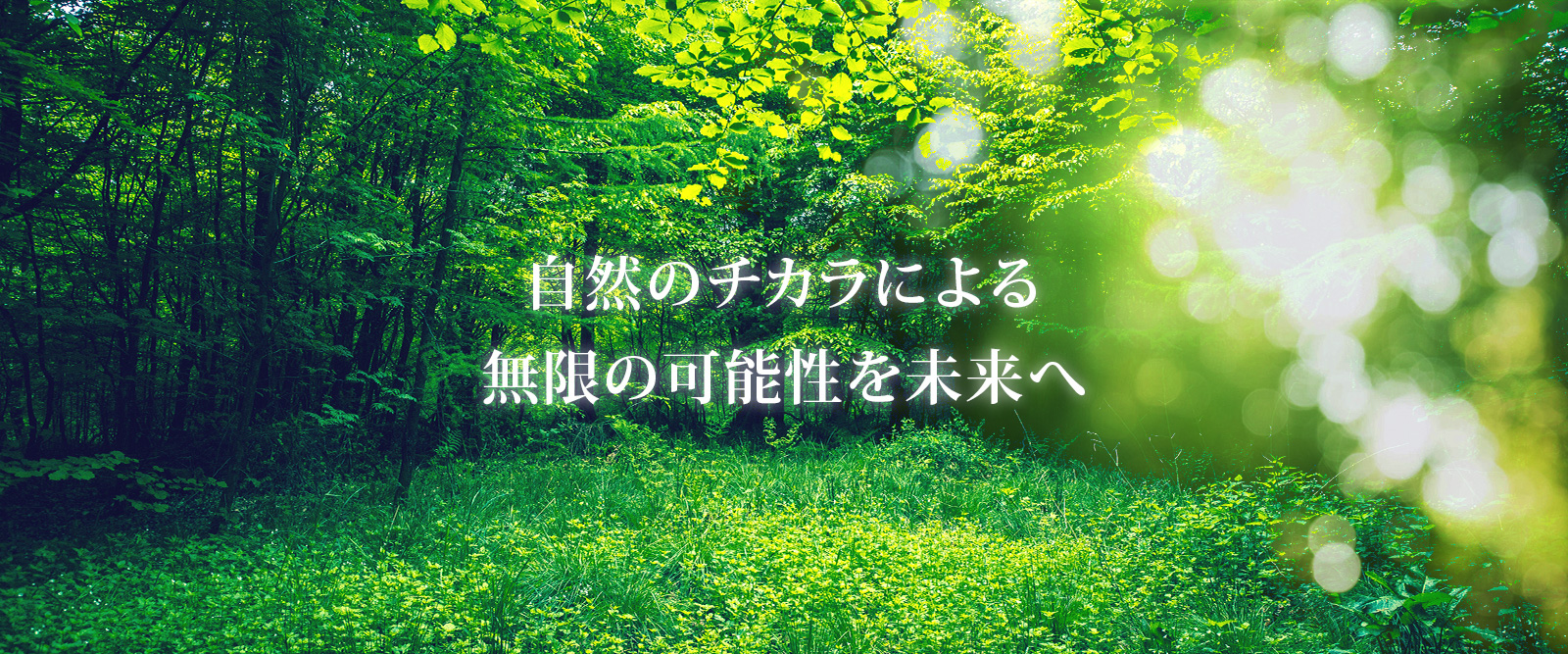 自然のチカラによる無限の可能性を未来へ